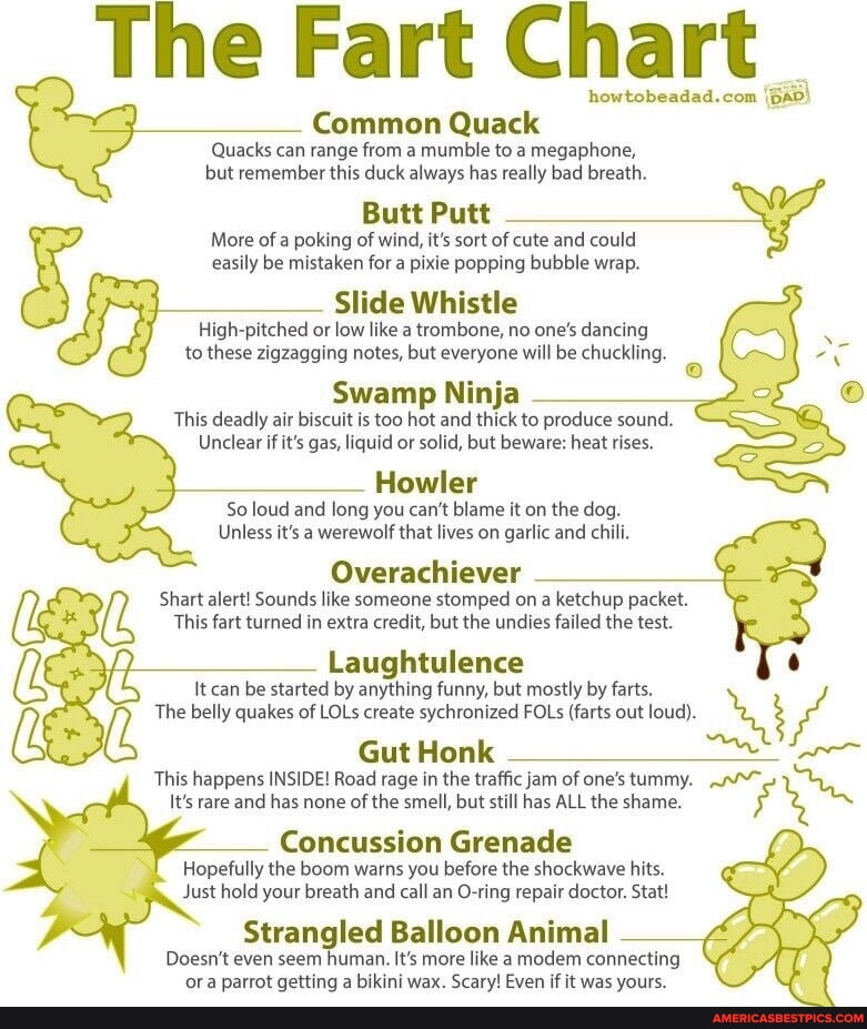 Howler Fart The Fart Chart howtobeadad.com Common Quack Quacks can range from a ...