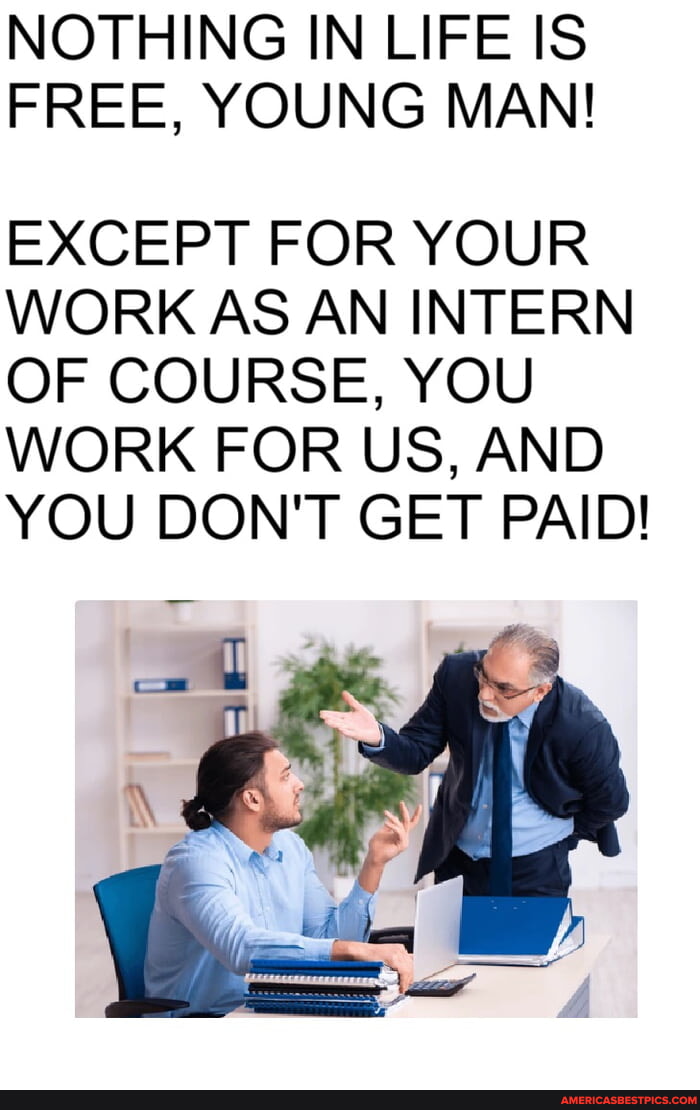 Internship memes. Best Collection of funny Internship pictures on ...