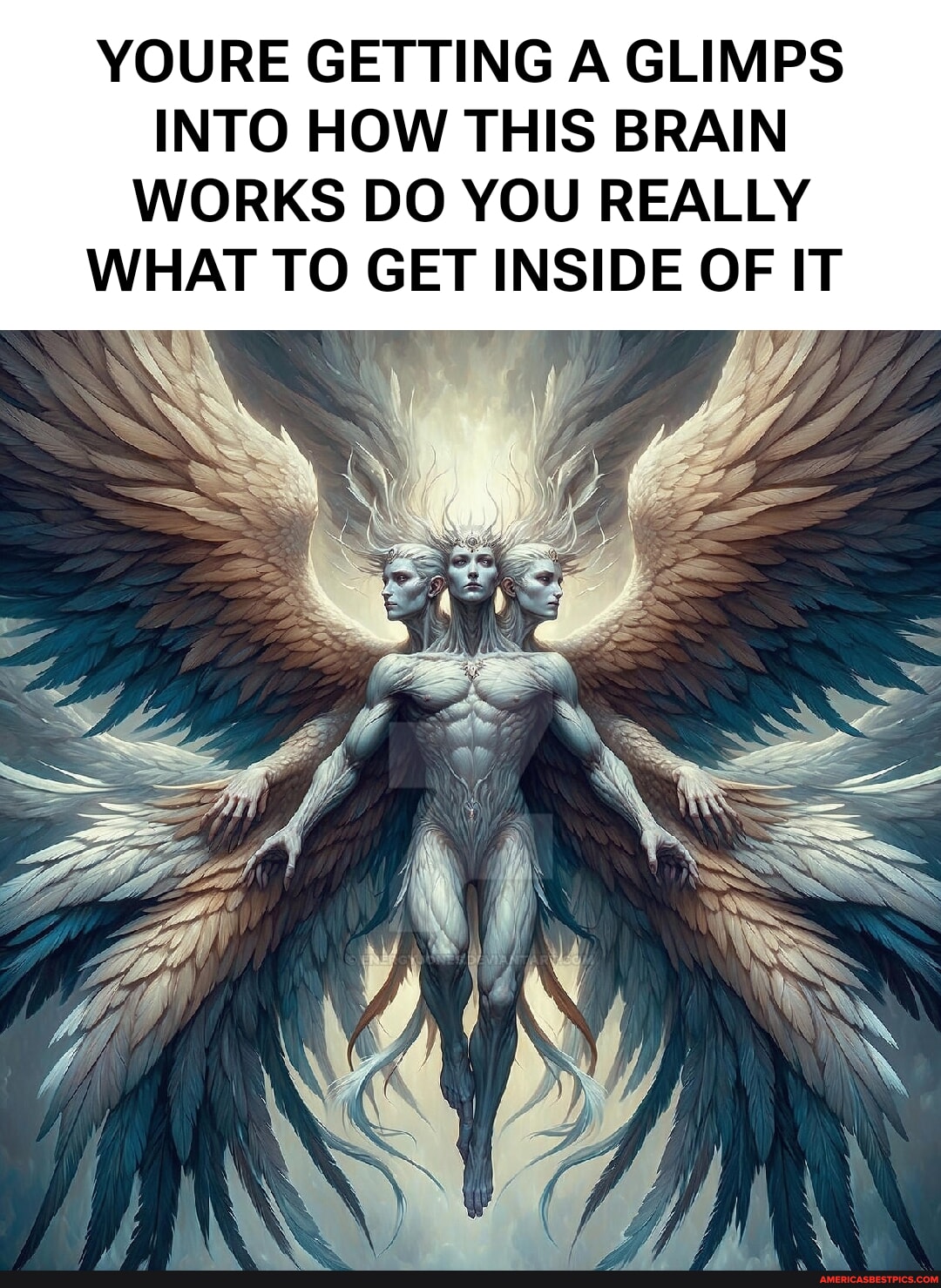 YOURE GETTING A GLIMPS INTO HOW THIS BRAIN WORKS DO YOU REALLY WHAT TO ...