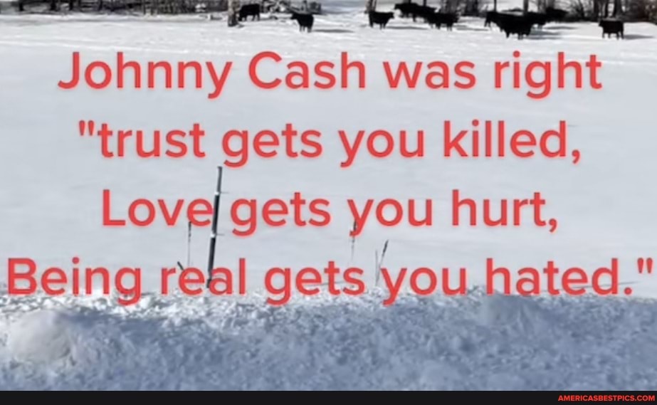 Johnny Cash was right "trust gets you killed, et Love gets you hurt ...