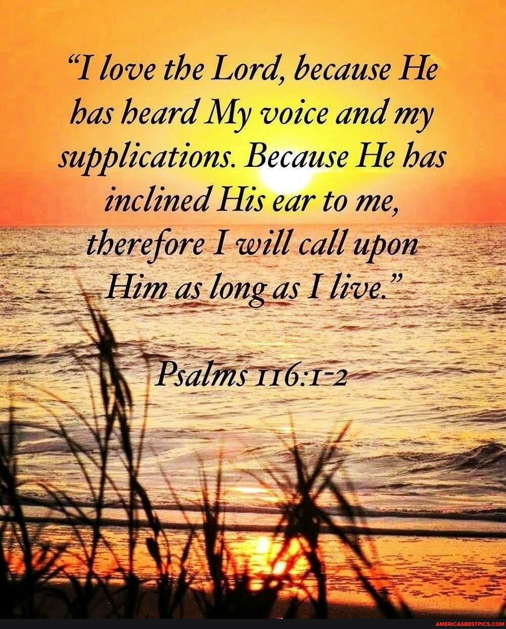 "T love the Lord, because He has heard My voice and my supplications ...