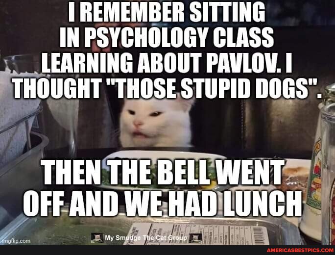 Remember Sitting REMEMBER SITTING IN PSYCHOLOGY CLASS LEARNING ABOUT PAVLOV. I THOUGHT ...