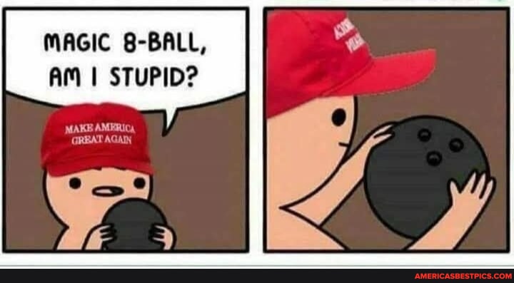 Magic Dumb MAGIC 8-BALL, AM I STUPID? MAKE AMERUCA, GRBAT AGAIN - America’s best ...