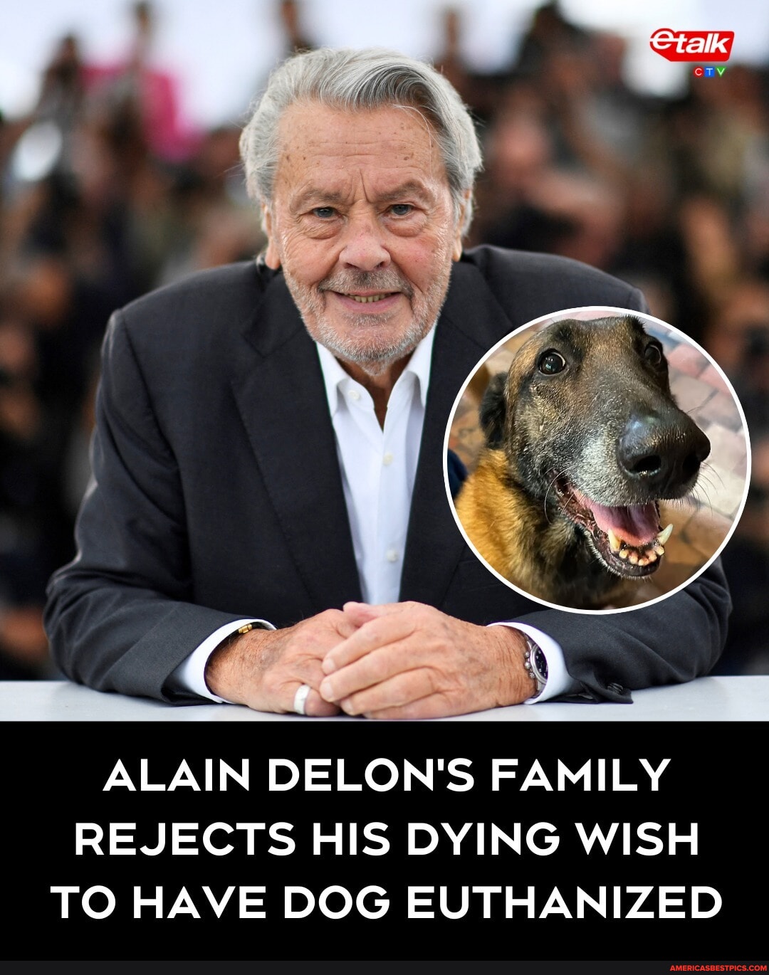 The late French actor Alain Delon wanted to be buried with his dog in ...