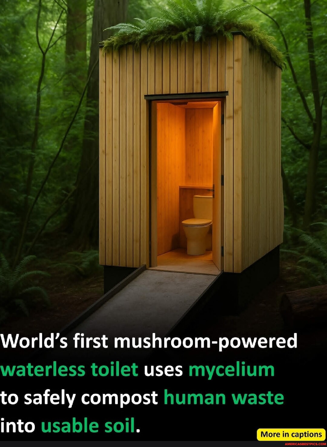 Compost Magic Meme Compost memes. Best Collection of funny Compost pictures on America’s ...