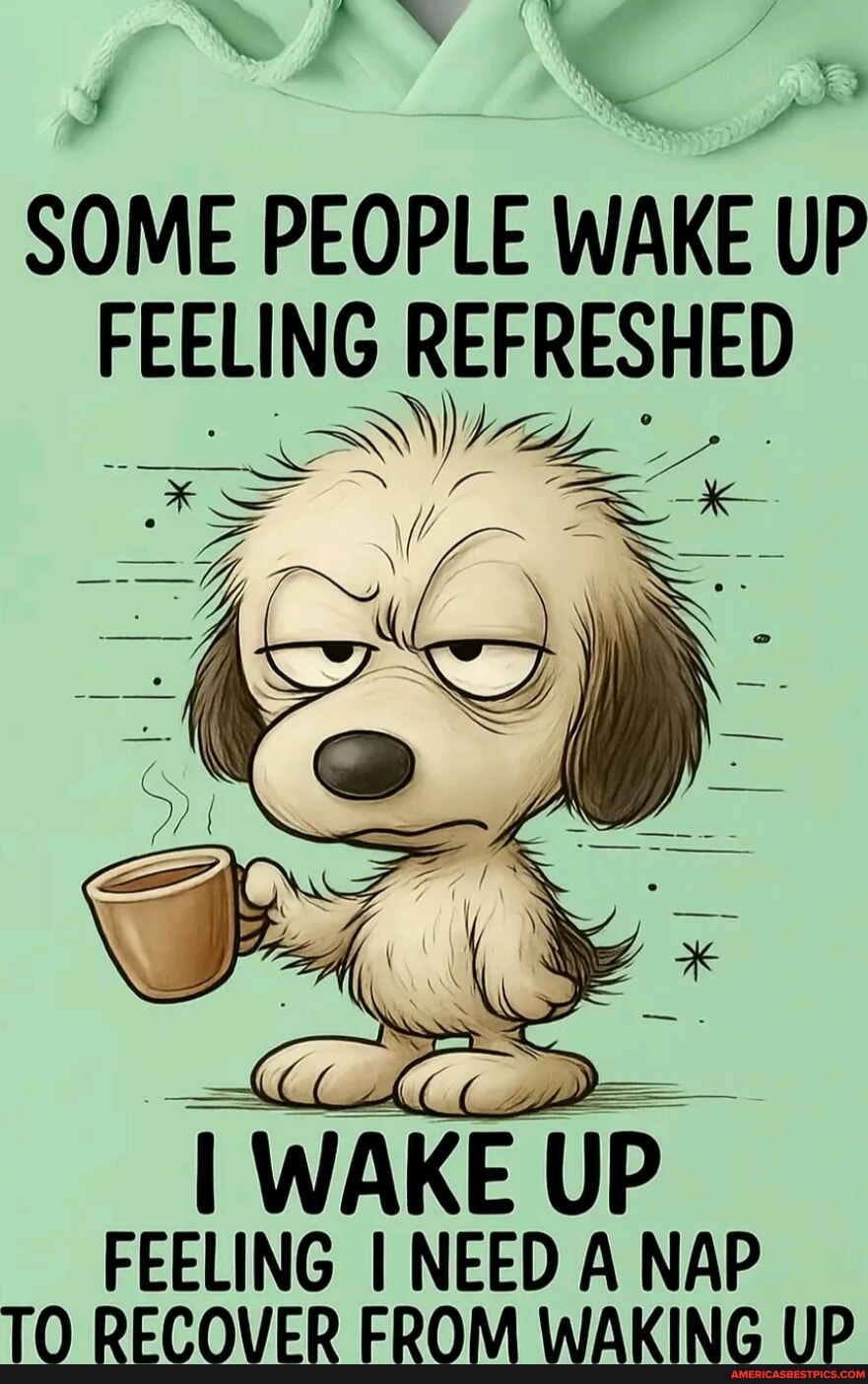 SOME PEOPLE WAKE UP FEELING REFRESHED I WAKE UP FEELING I NEED A NAP TO ...