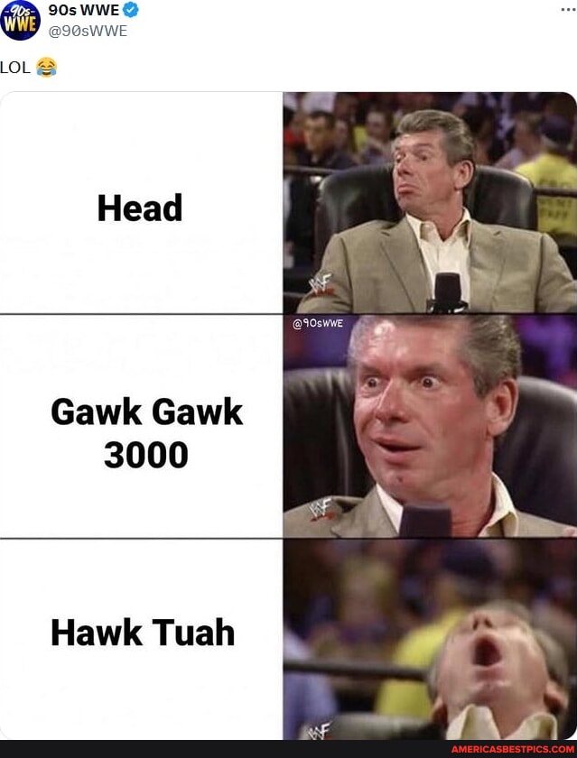 Gawk Gawk6000 WWE @90sWWE Head Gawk Gawk 3000 Hawk Tuah - America’s best pics and videos