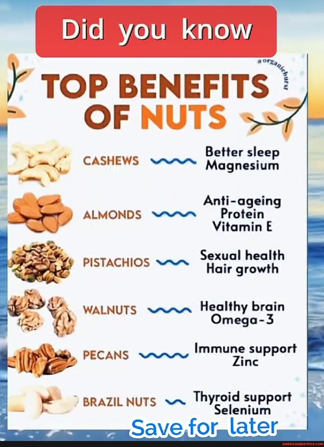 Did you Know TOP BENEFITS OF NUTS Better sleep CASHEWS Magnesium Anti ...