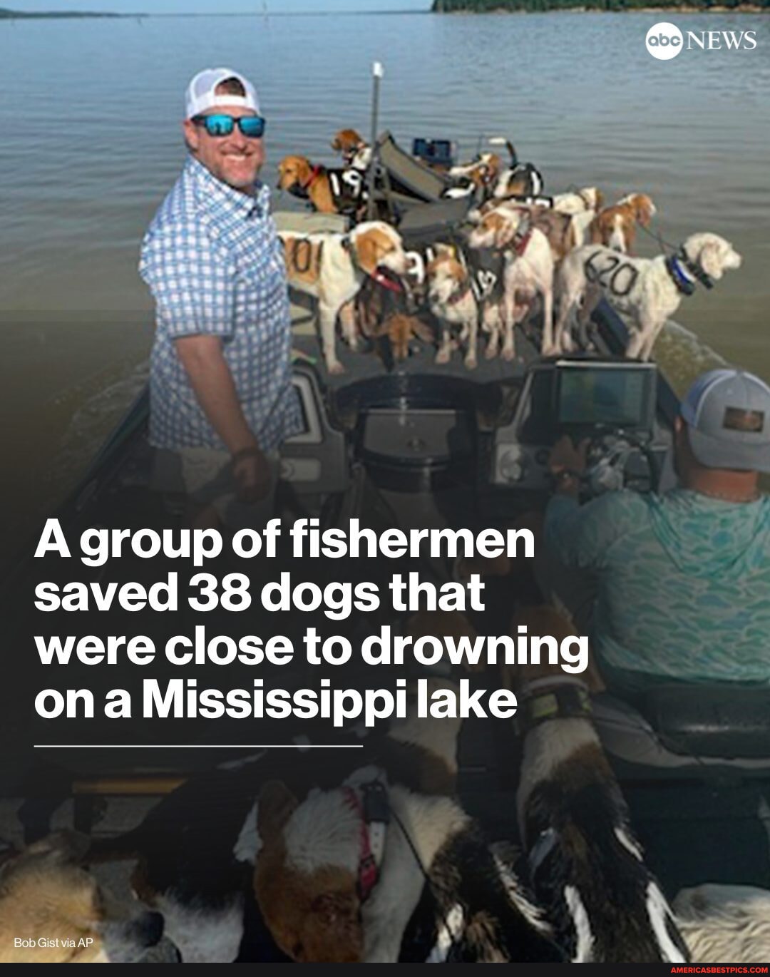 A trio of fishermen saved nearly 40 dogs from drowning after spotting ...