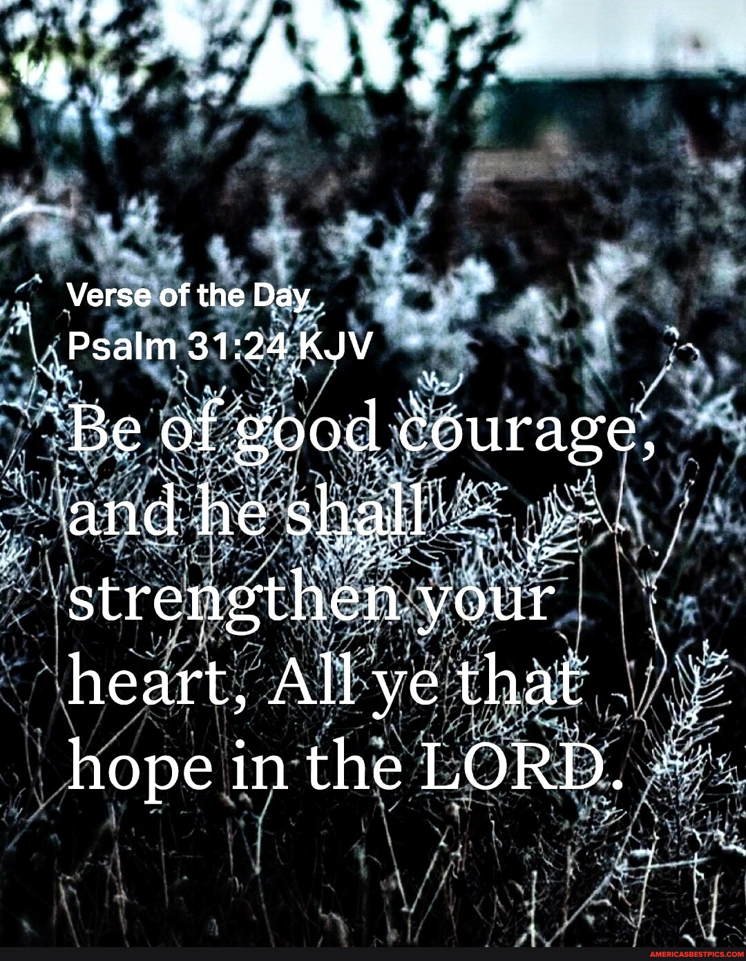' Verse of the Day Psalm 31: 24 KJV ~Be of 'good courage, and he shall ...