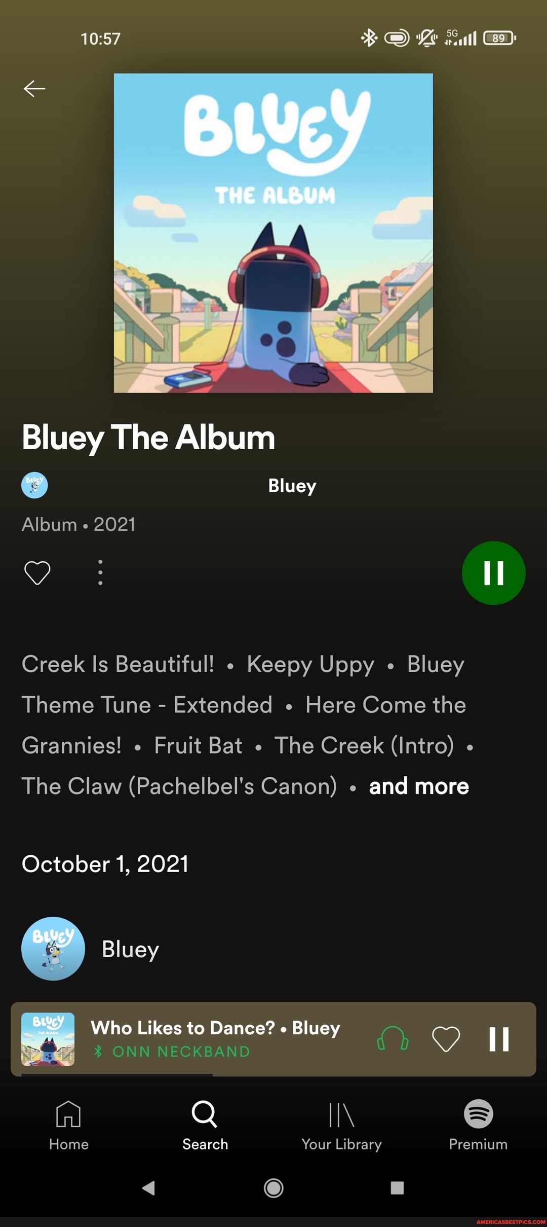 Bluey The Album Le Fall THE ALBUM Bluey Album 2021 Creek Is Beautiful ...