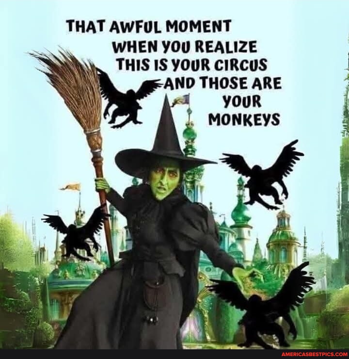 THAT AWFUL MOMENT WHEN YOU REALIZE THIS IS YOUR CIRCUS THOSE ARE