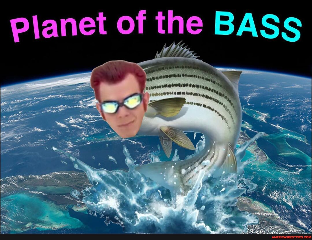 Sebass Meme All of the meme, how does it mean? 🐟 Meme by @beingevolved - et of the ...